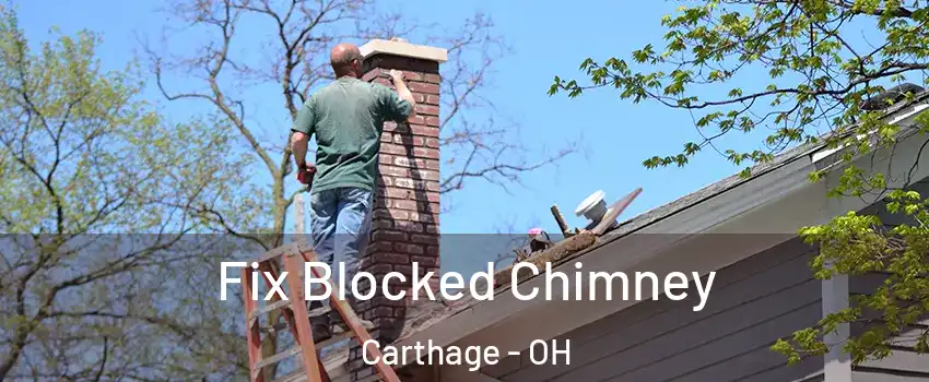 Fix Blocked Chimney Carthage - OH