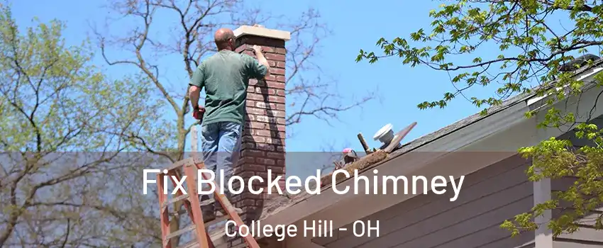 Fix Blocked Chimney College Hill - OH