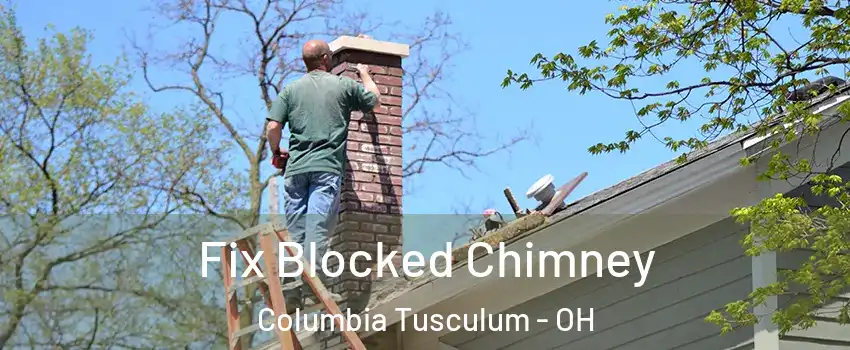 Fix Blocked Chimney Columbia Tusculum - OH