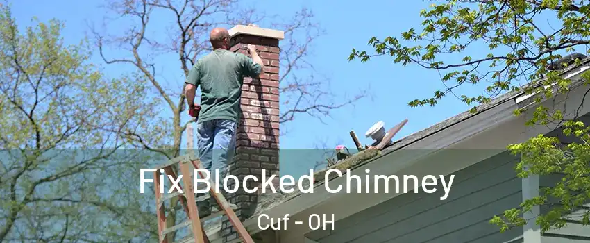 Fix Blocked Chimney Cuf - OH