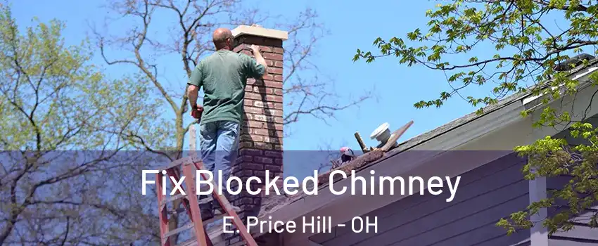 Fix Blocked Chimney E. Price Hill - OH