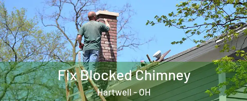 Fix Blocked Chimney Hartwell - OH