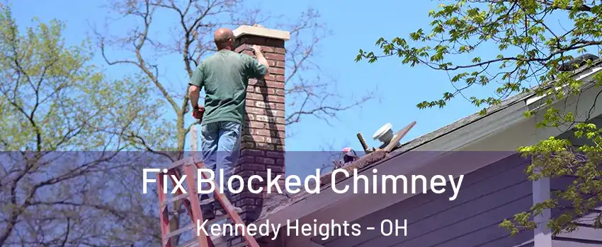 Fix Blocked Chimney Kennedy Heights - OH