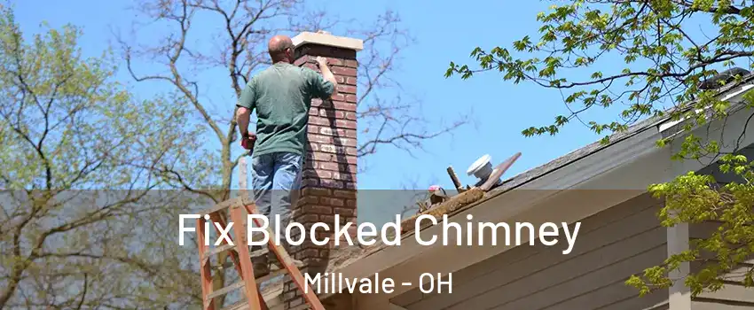 Fix Blocked Chimney Millvale - OH