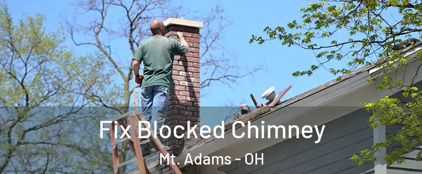 Fix Blocked Chimney Mt. Adams - OH