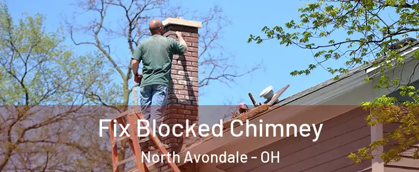 Fix Blocked Chimney North Avondale - OH