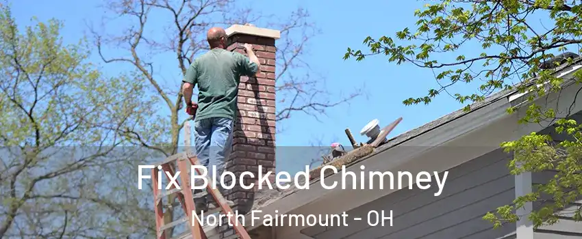 Fix Blocked Chimney North Fairmount - OH