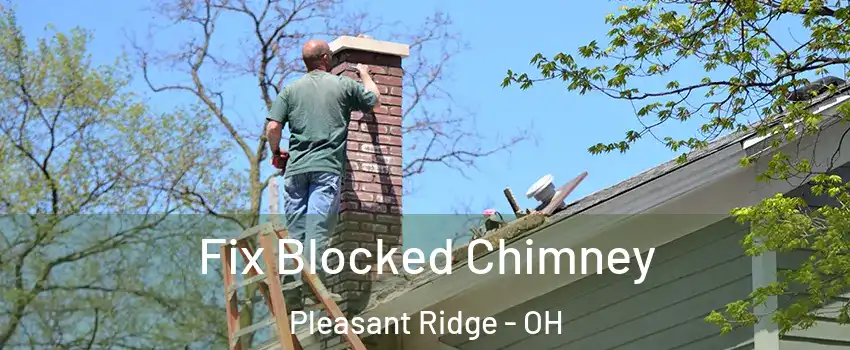 Fix Blocked Chimney Pleasant Ridge - OH