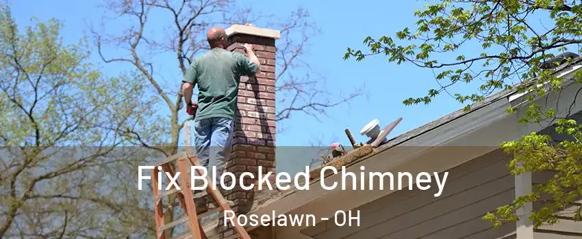 Fix Blocked Chimney Roselawn - OH