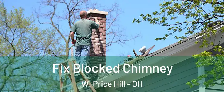 Fix Blocked Chimney W. Price Hill - OH