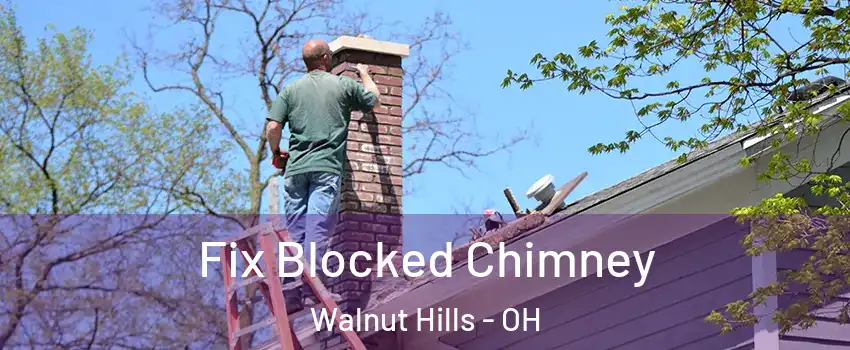 Fix Blocked Chimney Walnut Hills - OH