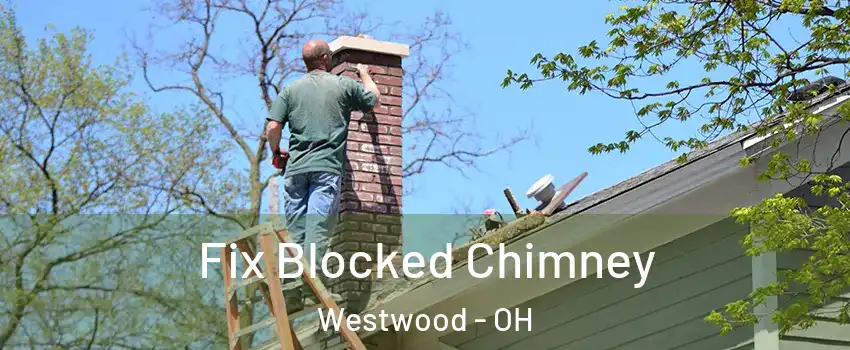 Fix Blocked Chimney Westwood - OH