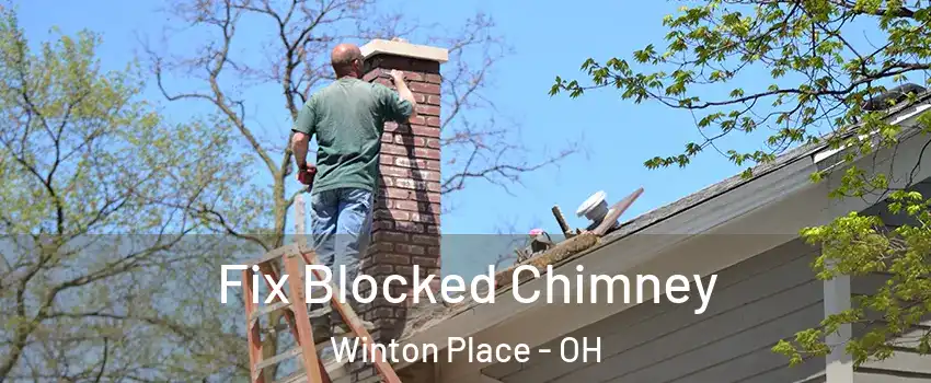 Fix Blocked Chimney Winton Place - OH