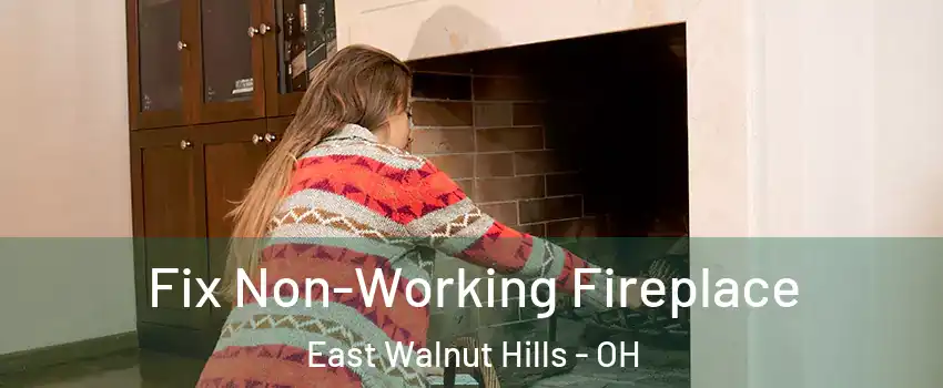 Fix Non-Working Fireplace East Walnut Hills - OH