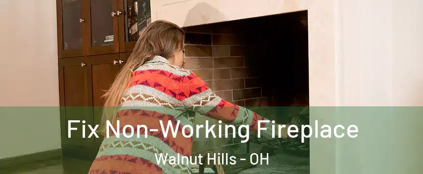 Fix Non-Working Fireplace Walnut Hills - OH