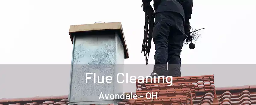 Flue Cleaning Avondale - OH