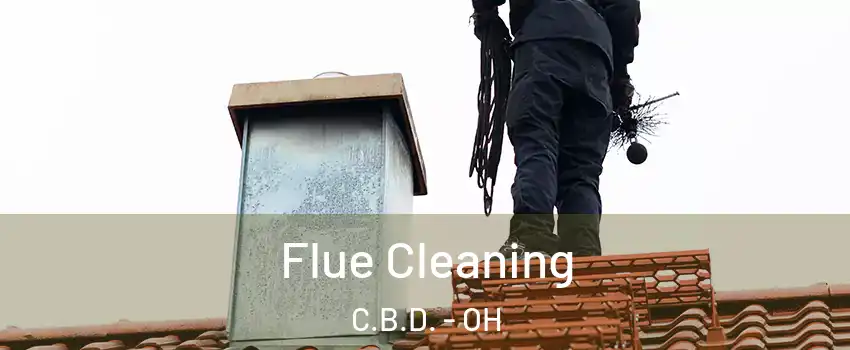 Flue Cleaning C.B.D. - OH