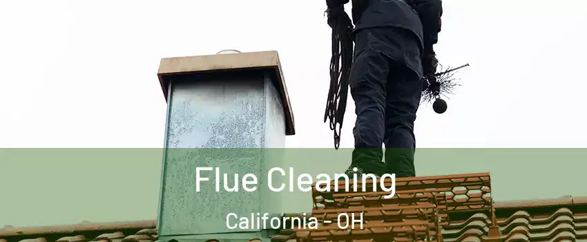 Flue Cleaning California - OH