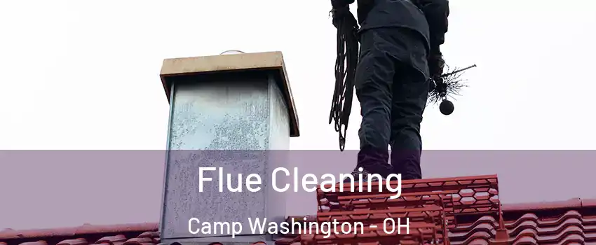 Flue Cleaning Camp Washington - OH