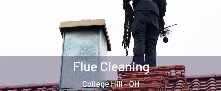 Flue Cleaning College Hill - OH