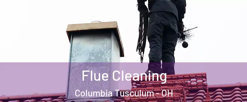 Flue Cleaning Columbia Tusculum - OH