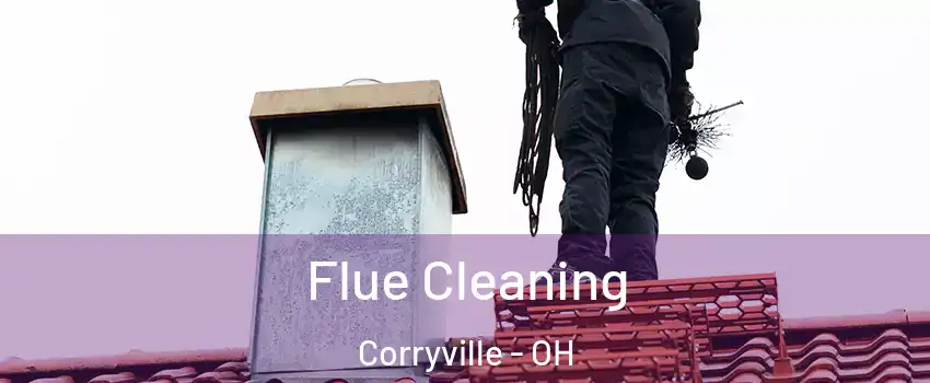 Flue Cleaning Corryville - OH