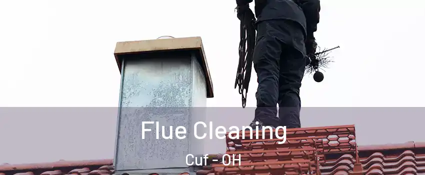 Flue Cleaning Cuf - OH