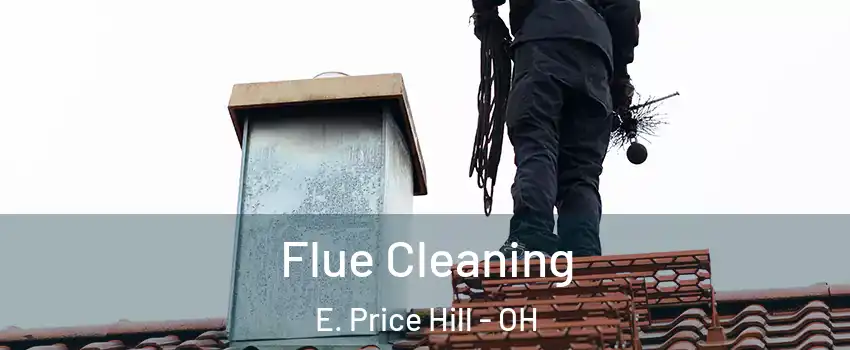 Flue Cleaning E. Price Hill - OH