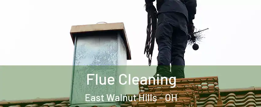 Flue Cleaning East Walnut Hills - OH