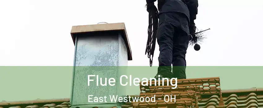 Flue Cleaning East Westwood - OH