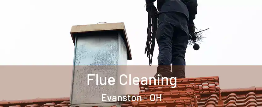 Flue Cleaning Evanston - OH