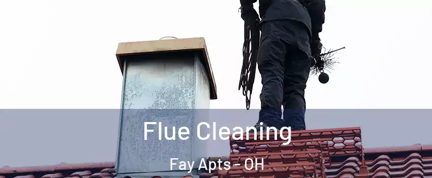 Flue Cleaning Fay Apts - OH