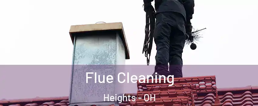 Flue Cleaning Heights - OH