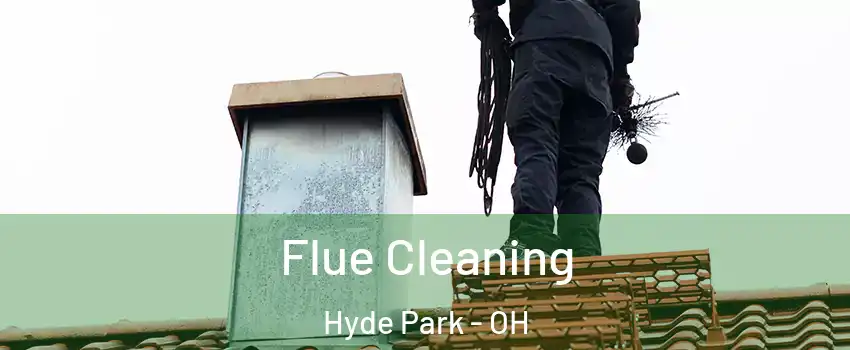 Flue Cleaning Hyde Park - OH