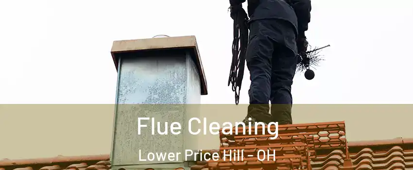 Flue Cleaning Lower Price Hill - OH