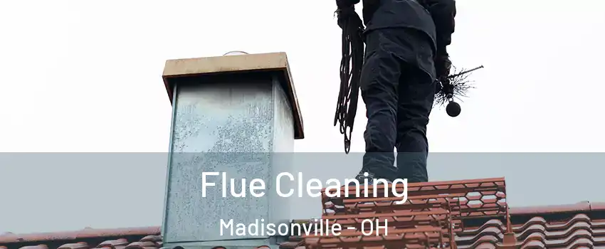 Flue Cleaning Madisonville - OH