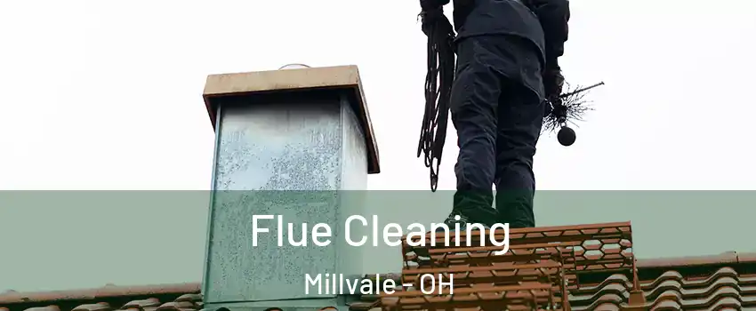 Flue Cleaning Millvale - OH