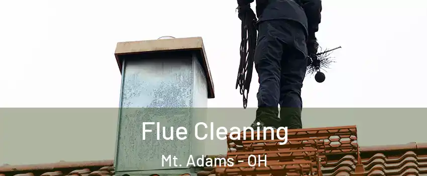 Flue Cleaning Mt. Adams - OH