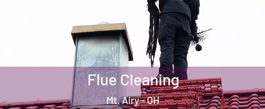 Flue Cleaning Mt. Airy - OH