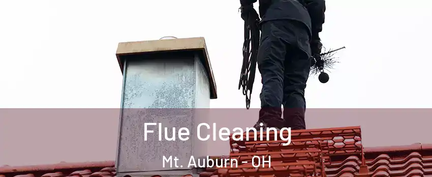 Flue Cleaning Mt. Auburn - OH