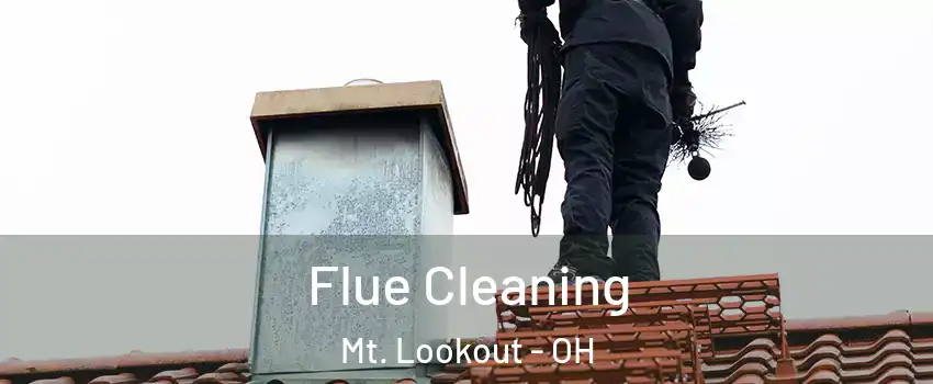 Flue Cleaning Mt. Lookout - OH