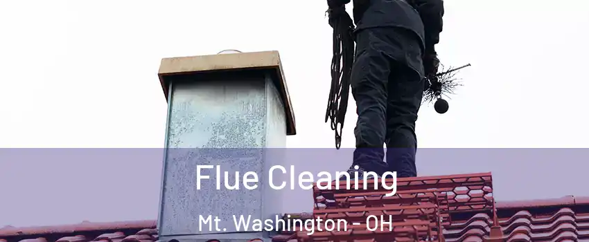 Flue Cleaning Mt. Washington - OH