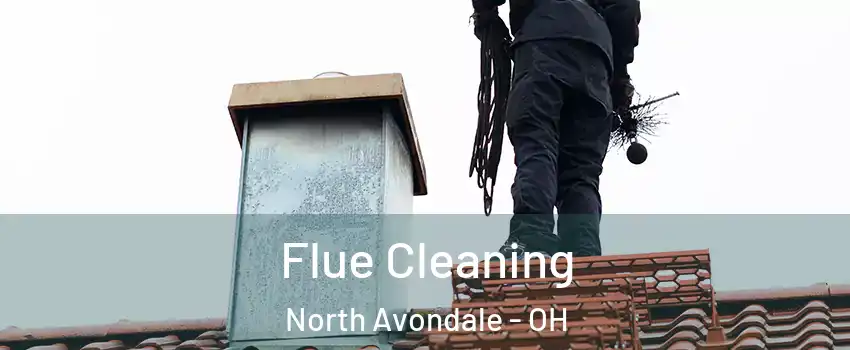 Flue Cleaning North Avondale - OH