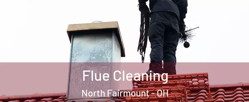 Flue Cleaning North Fairmount - OH