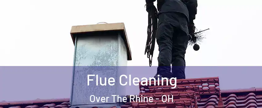 Flue Cleaning Over The Rhine - OH