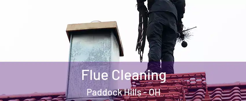 Flue Cleaning Paddock Hills - OH