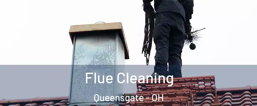 Flue Cleaning Queensgate - OH