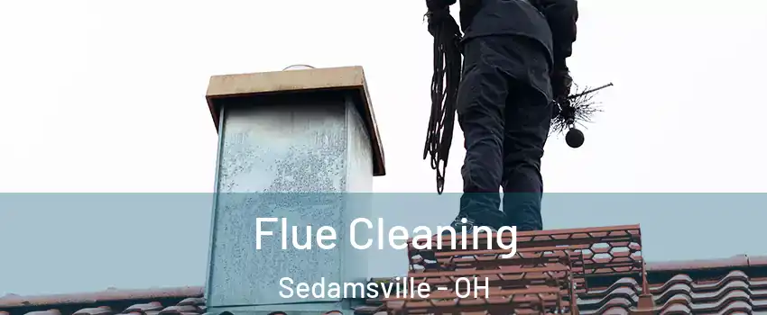 Flue Cleaning Sedamsville - OH