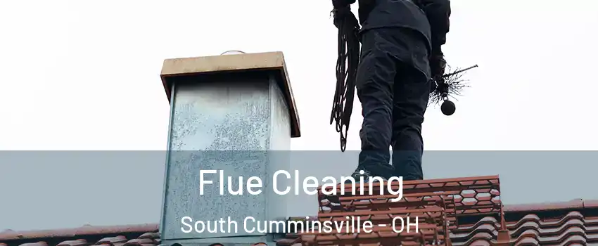 Flue Cleaning South Cumminsville - OH