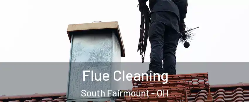 Flue Cleaning South Fairmount - OH